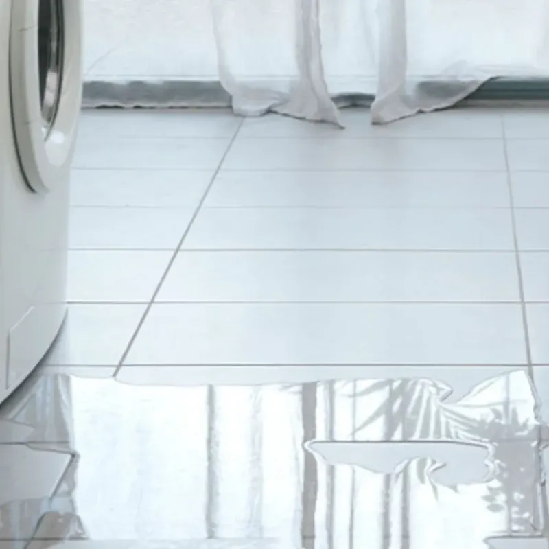 Appliance Leak Cleanup in Keystone, FL